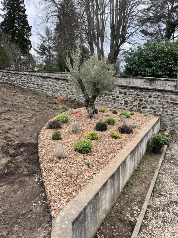 Plantation , massif décoratif EURL PACHAL Jeoffrey Paysagiste Lyon