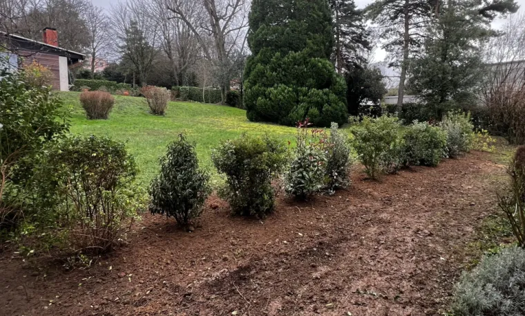 plantation d'une haie varié EURL Pachal Jeoffrey Paysagiste 