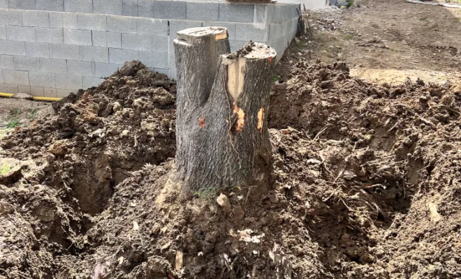 Paysagiste Lyon enlèvement de souche
